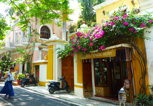 Pondicherry Pondicherry-Geschäft-mit-Blumen-umrankt-Heilreise