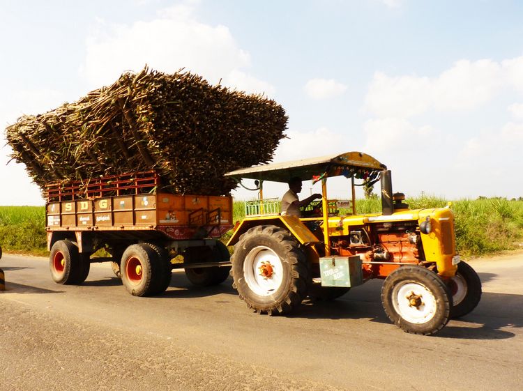 Traktor Traktor-mit-Zuckerrohr-Indien-Reise